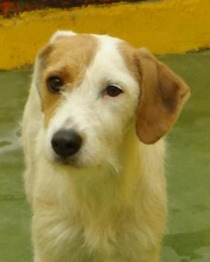 multimedia-foto40541-409-3