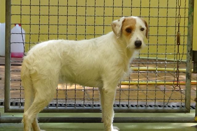 multimedia-foto40542-409-3