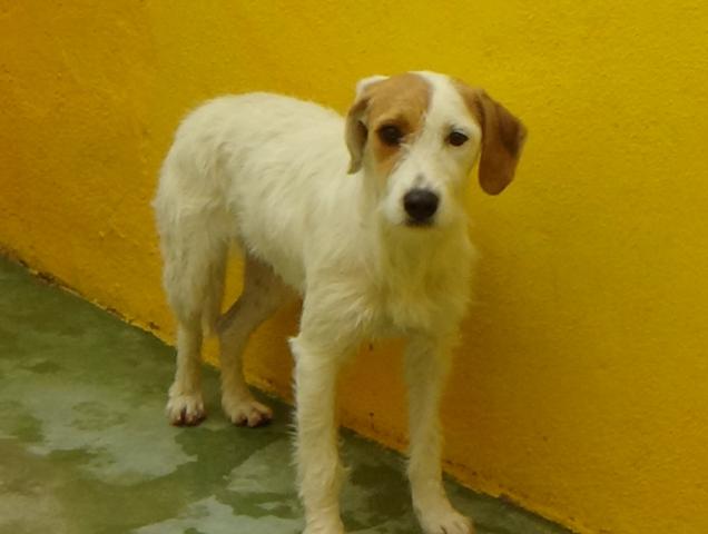 multimedia-foto40543-410-3