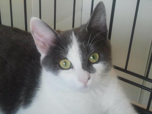 multimedia-foto40544-234-3