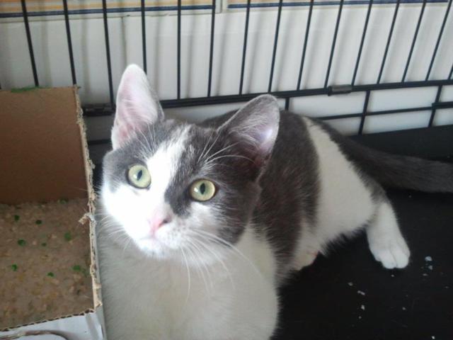 multimedia-foto40548-234-3