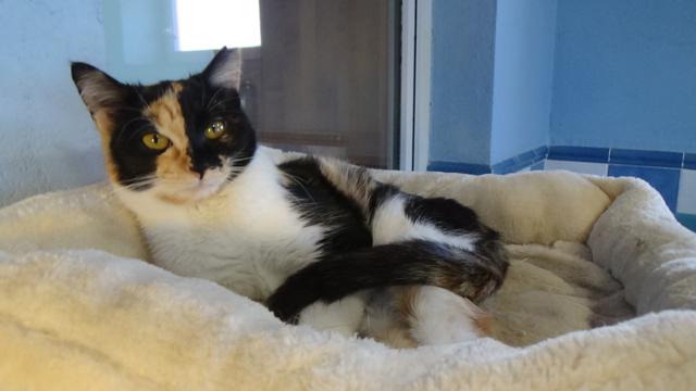 multimedia-foto40550-450-3