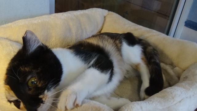 multimedia-foto40551-450-3