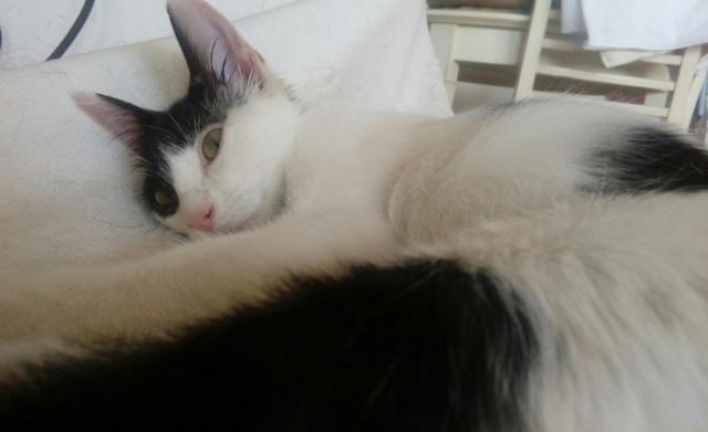 multimedia-foto40557-695-3