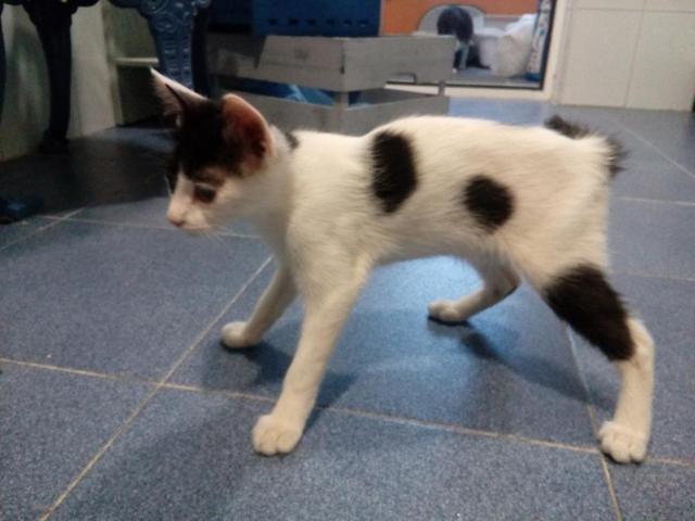 multimedia-foto40558-695-3