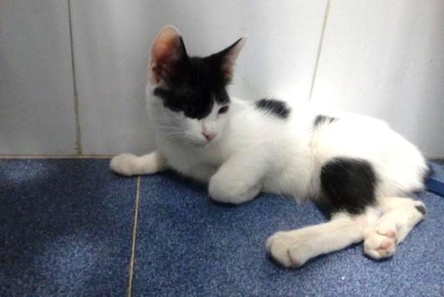 multimedia-foto40559-695-3