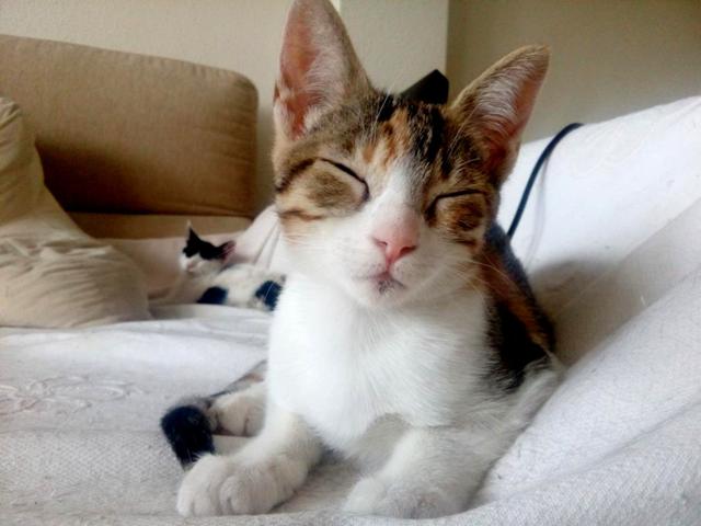 multimedia-foto40563-865-3