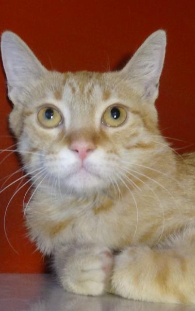 multimedia-foto40572-369-3