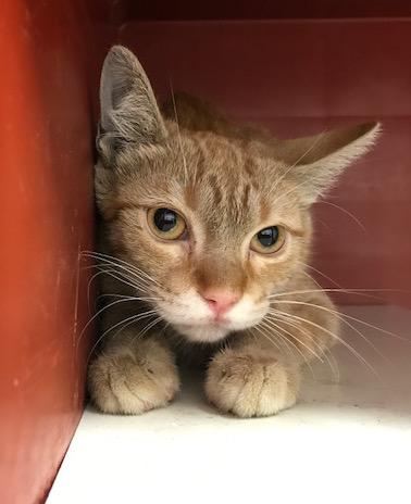 multimedia-foto40575-369-3