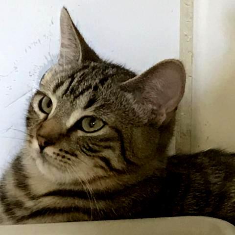 multimedia-foto40653-779-3