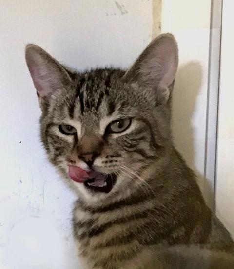 multimedia-foto40654-779-3