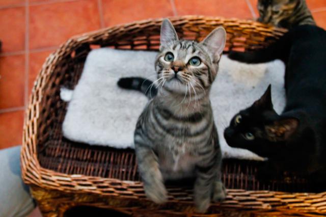 multimedia-foto40655-779-3