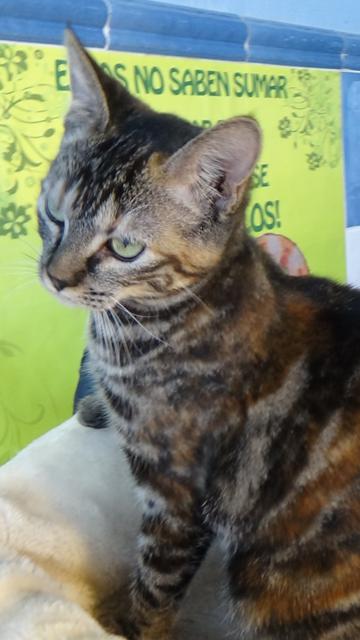 multimedia-foto40659-972-3