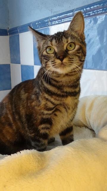 multimedia-foto40660-972-3