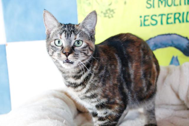 multimedia-foto40661-972-3