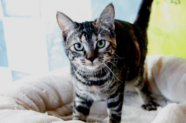 multimedia-foto40663-972-3