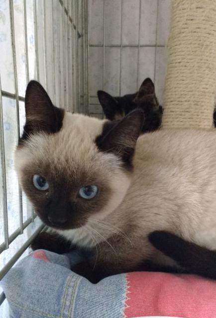 multimedia-foto40664-394-3