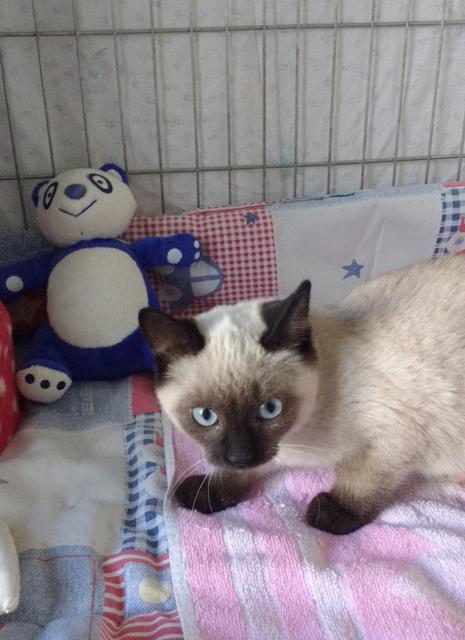 multimedia-foto40665-394-3