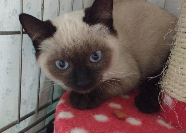 multimedia-foto40667-395-3