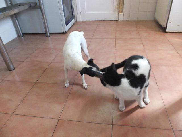 multimedia-foto40688-500-3