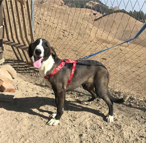 multimedia-foto40693-81-3