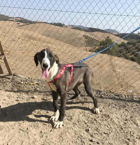 multimedia-foto40694-81-3