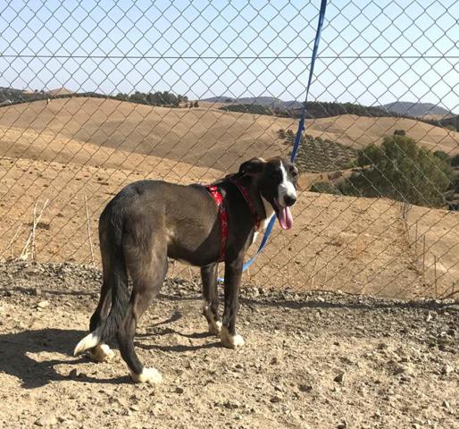 multimedia-foto40695-82-3