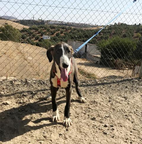 multimedia-foto40698-82-3