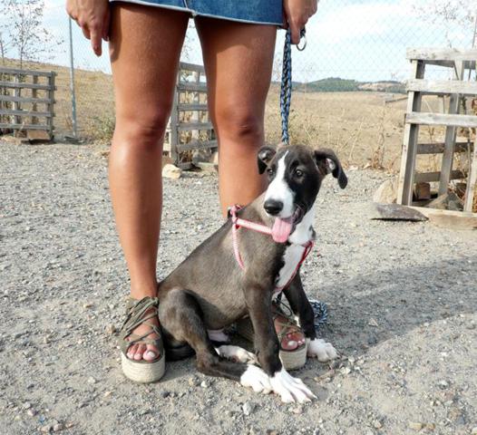 multimedia-foto40699-82-3