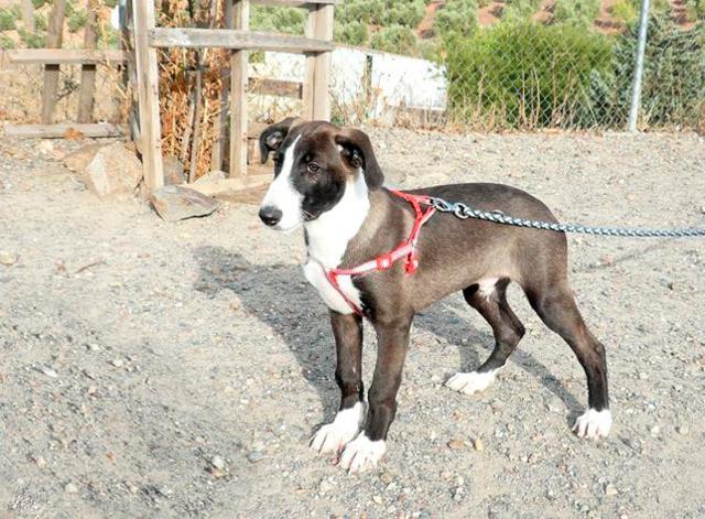 multimedia-foto40700-82-3