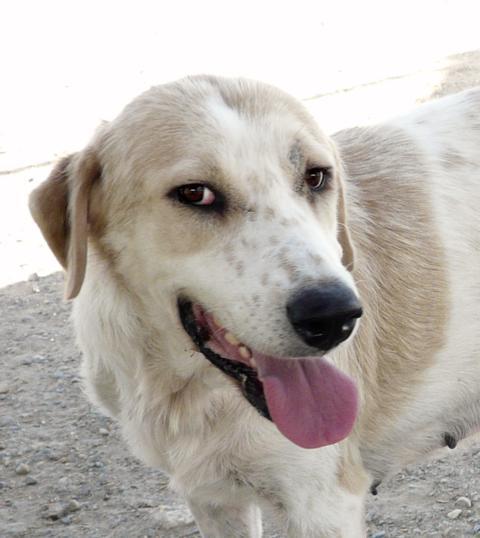 multimedia-foto40705-555-3