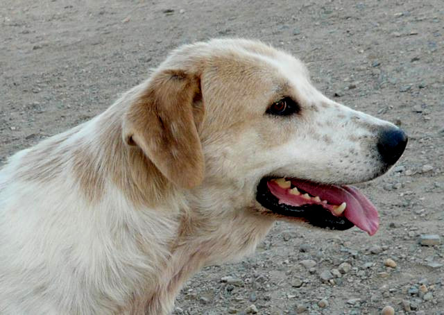 multimedia-foto40706-555-3