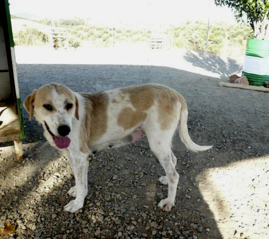 multimedia-foto40707-555-3