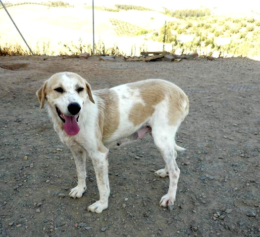 multimedia-foto40708-555-3