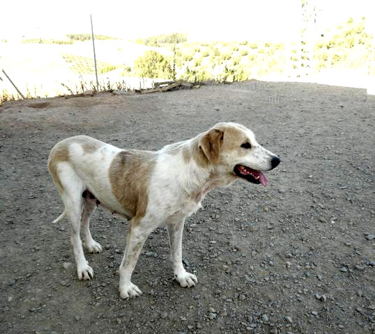 multimedia-foto40710-581-3