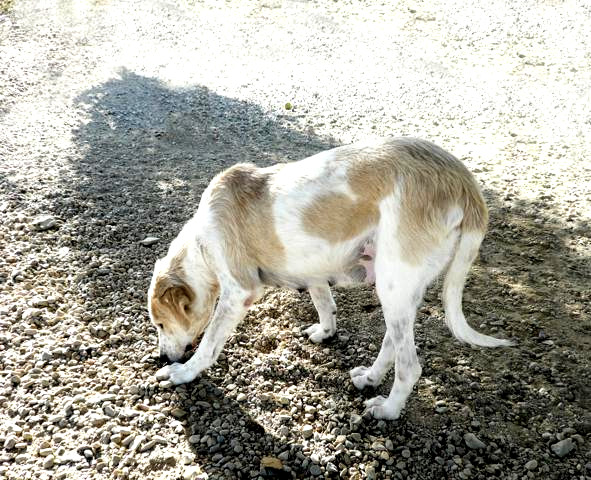 multimedia-foto40711-581-3