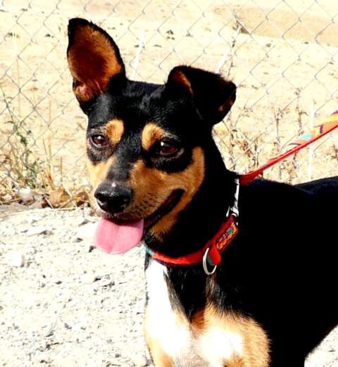 multimedia-foto40713-305-3