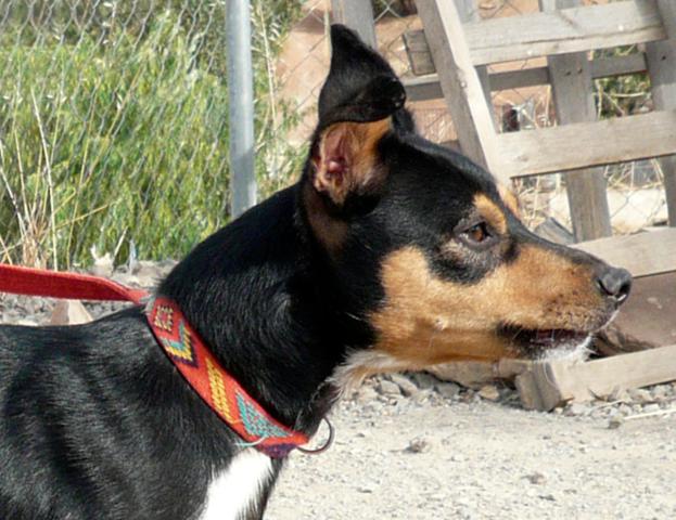 multimedia-foto40714-305-3