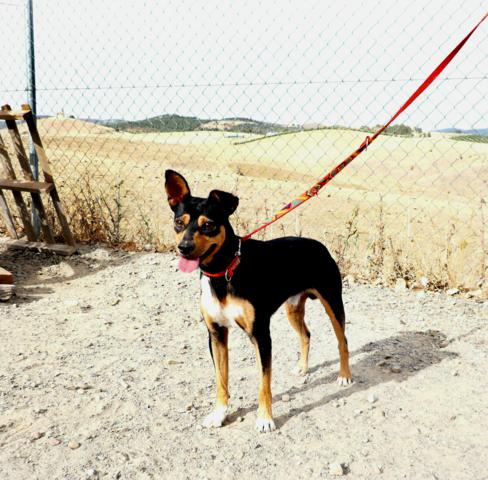 multimedia-foto40716-306-3