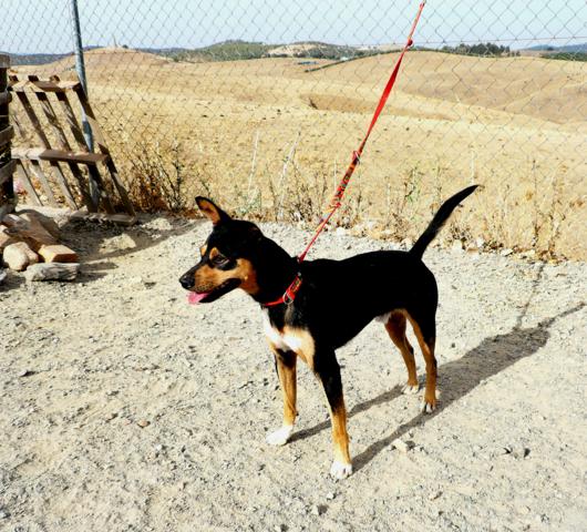 multimedia-foto40717-306-3