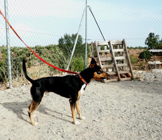 multimedia-foto40718-343-3