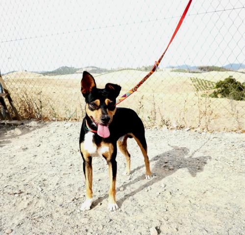 multimedia-foto40719-343-3