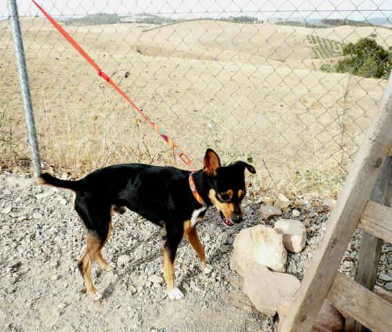 multimedia-foto40720-343-3