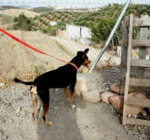 multimedia-foto40721-343-3