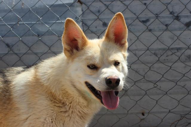 multimedia-foto40722-640-3