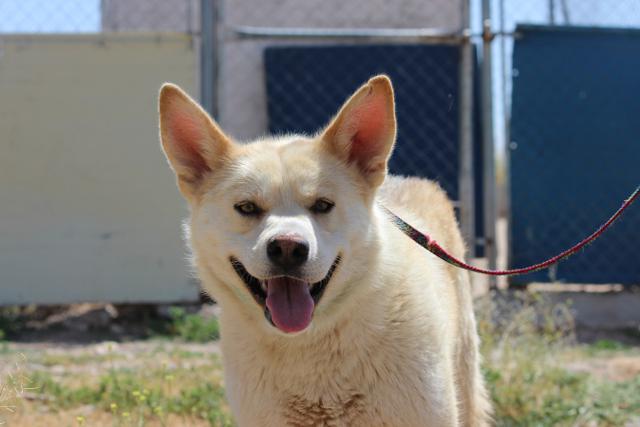 multimedia-foto40723-640-3