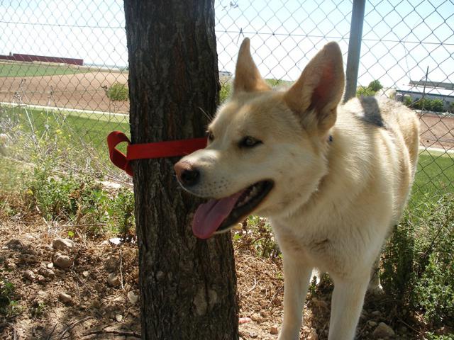 multimedia-foto40724-640-3