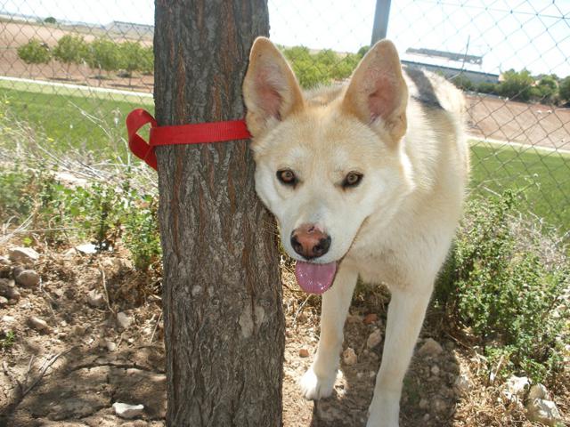 multimedia-foto40725-640-3