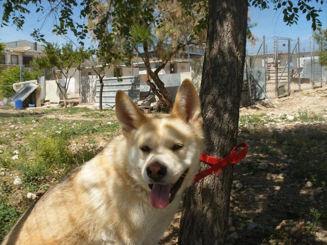 multimedia-foto40727-640-3