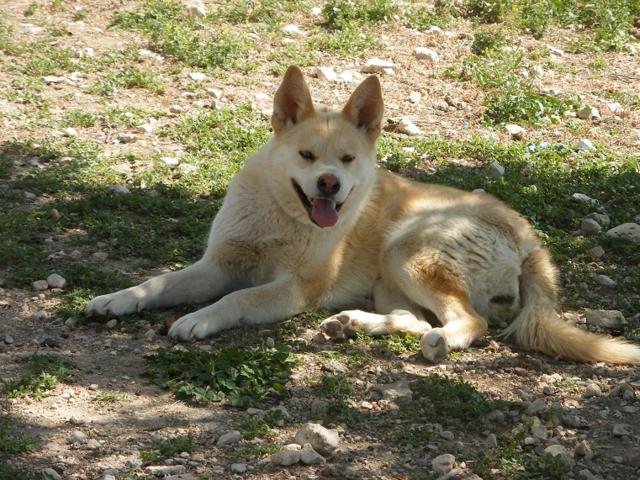 multimedia-foto40728-640-3